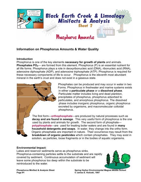 Information On Phosphorus Amounts Water Quality Osse