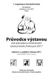 Průvodce výstavou - 1.OK