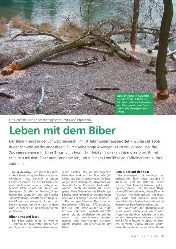 leben mit dem Biber - Waldwissen.net