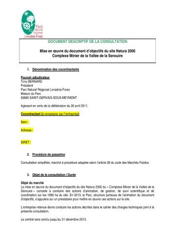 DOCUMENT DESCRIPTIF DE LA CONSULTATION Mise en Åuvre ...