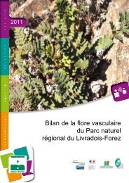 Bilan de la flore vasculaire du Parc naturel rÃ©gional du Livradois-Forez