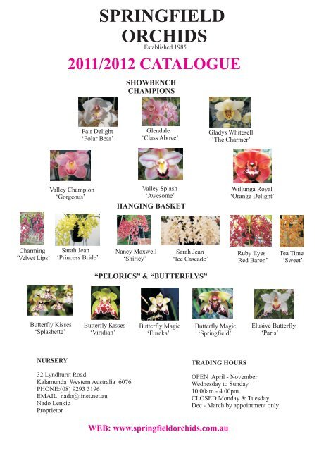 10 page 2011 CATALOGUE ON-LINE - Springfield Orchids Nursery