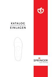 SPRINGER KATALOG EINLAGEN