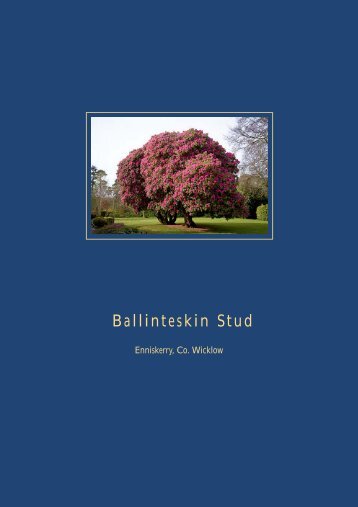 Ballinteskin Stud - Daft.ie