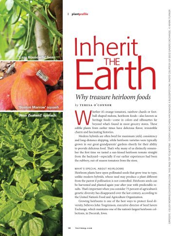 Inherit the Earth: Why Treasure Heirloom Foods - Seasonal Wisdom