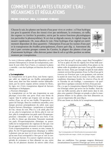 telecharger l'article en pdf - Jejardine.org