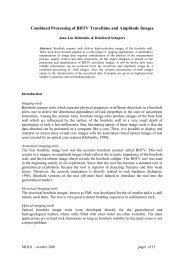 Combined Processing of BHTV Traveltime and Amplitude Images