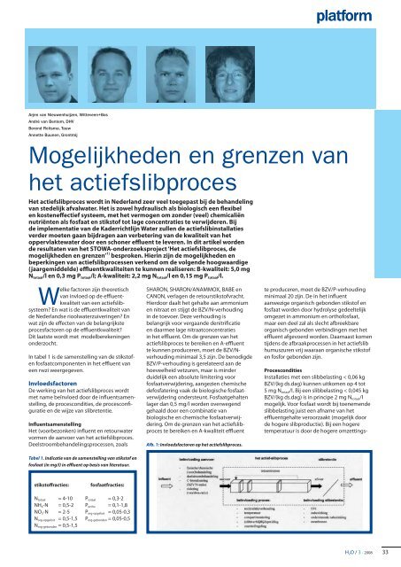 Mogelijkheden en grenzen van het actief-silbproces - Tauw