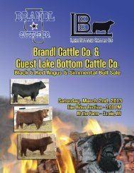 Download Full Sale Catalogue (PDF) - Cattlevids.ca