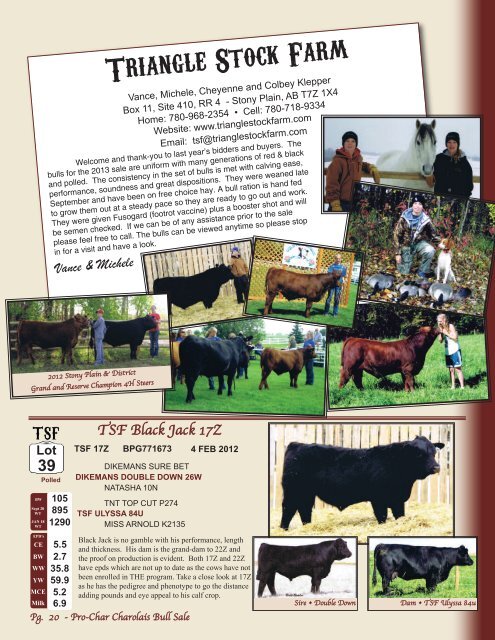 Download Full Sale Catalogue - Cattlevids.ca