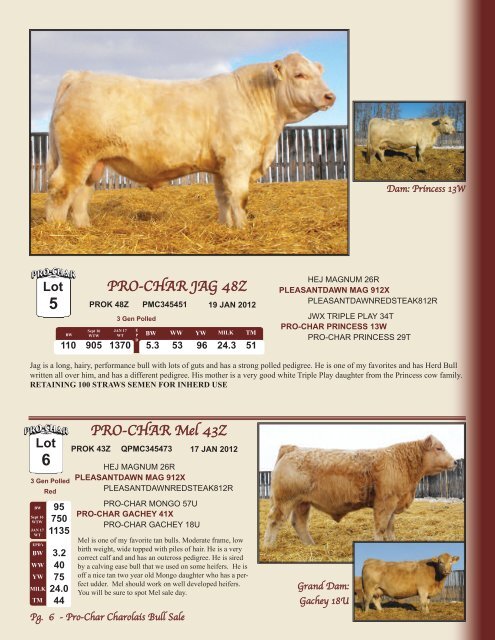 Download Full Sale Catalogue - Cattlevids.ca