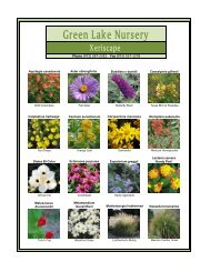 Xeriscape - Green Lake Nursery