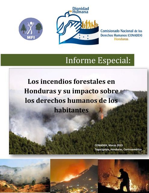 Informe Especial INCENDIOS FORESTALES marzo 2015