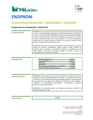 ENZIPROM - Qsi