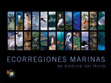 Ecorregiones marinas