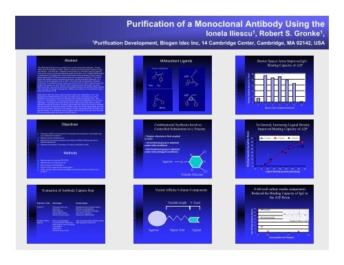 Purification of a Monoclonal Antibody Using the