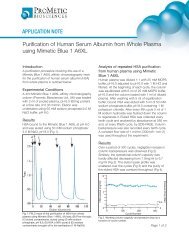 APPLICATION NOTE Purification of Human Serum Albumin from ...