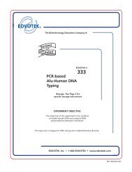 333 PCR-based Alu-Human DNA Typing - EDVOTEK