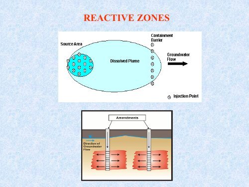 BIOREMEDIATION OF Cr(VI) CONTAMINATED SOIL AND AQUIFERS