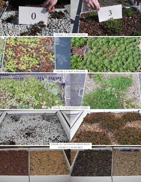 Living Architecture Monitor - Green Roofs for Healthy Cities