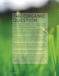 THE ORGANIC QUESTION - Green Roofs for Healthy Cities