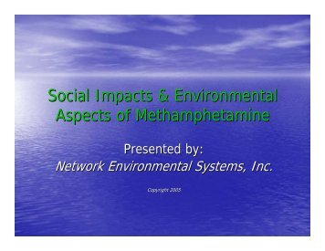 Social Impacts & Environmental Aspects of Methamphetamine - NES