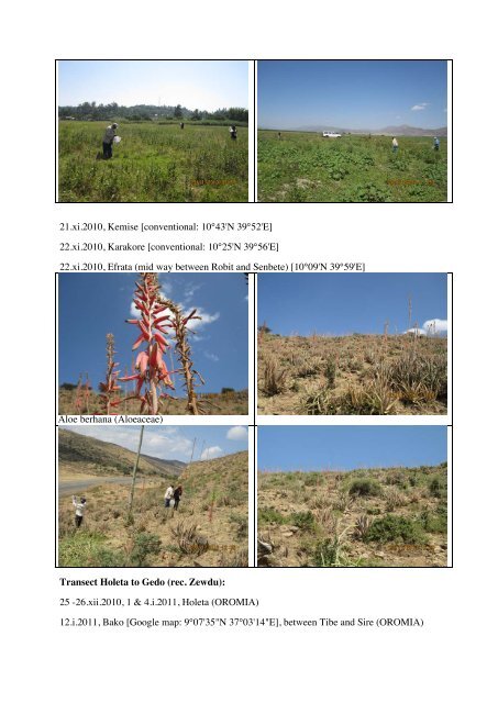 Localities of collecting trips in Ethiopia, GTI project 1 (October 2010 ...