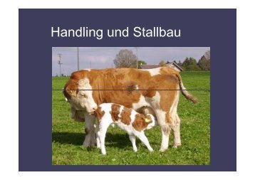 Handling und Stallbau