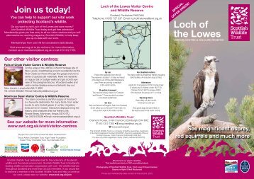 Loch of the Lowes - Scottish Wildlife Trust