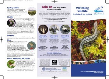 SWT LOTHIANS POSTER/12 - Scottish Wildlife Trust