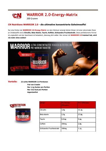 WARRIOR 2.0-Energy-Matrix