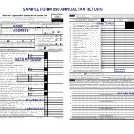 SAMPLE FORM 990 ANNUAL TAX RETURN - Here-4-You Consulting