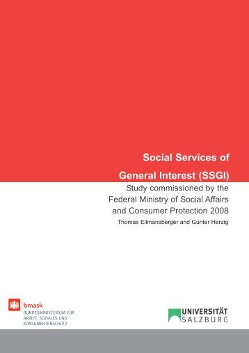 Social Services of General Interest (SSGI)