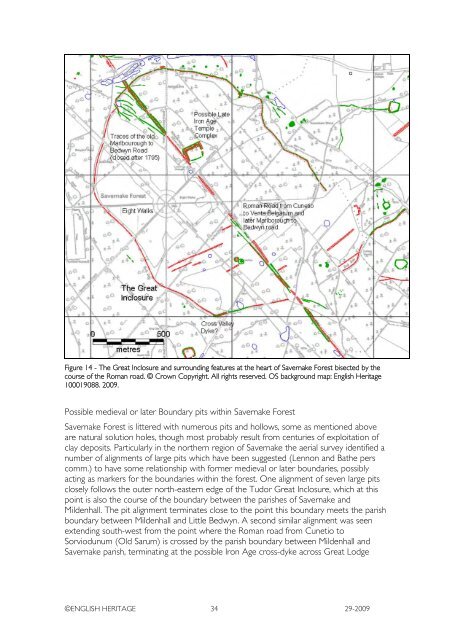 savernake forest a report for the national mapping ... - English Heritage