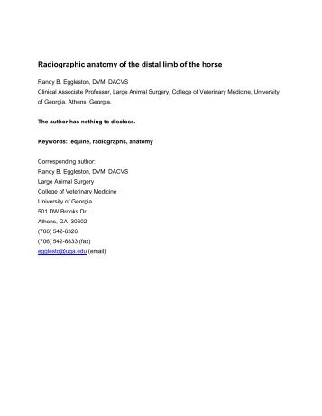 Radiographic anatomy of the distal limb of the horse