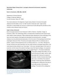 Specialized Upper Airway Exam: Laryngeal ultrasound and dynamic ...