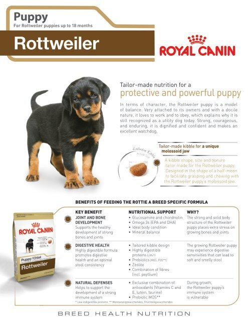 Royal top canin rottweiler