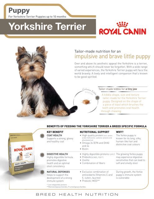 royal canin yorkshire terrier ingredients