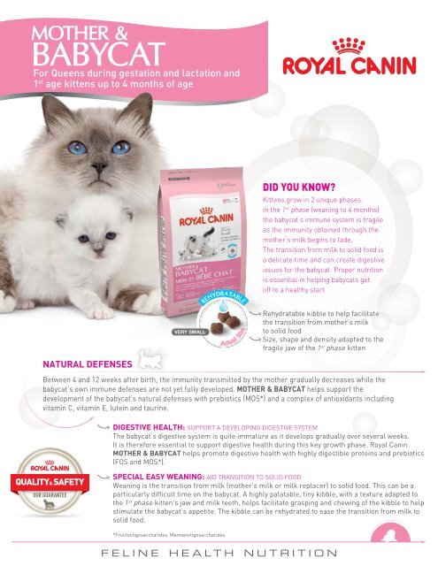 royal canin kitten 34