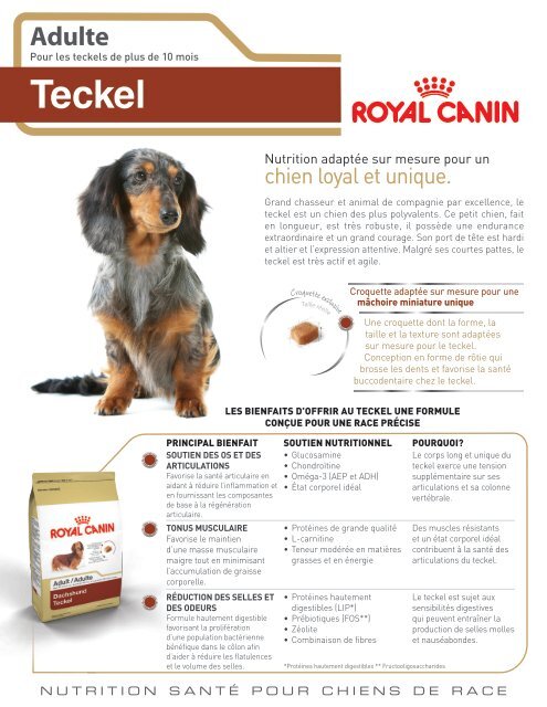 Teckel 28 Royal Canin Canada