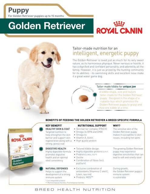 royal canin golden retriever puppy