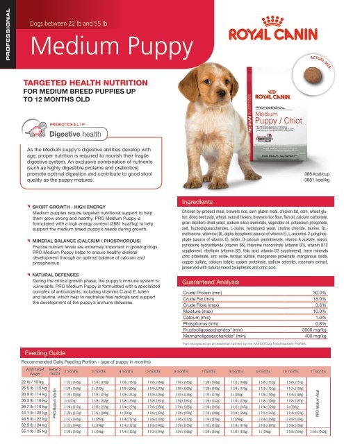 royal canin puppy medium 20kg,yasserchemicals.com