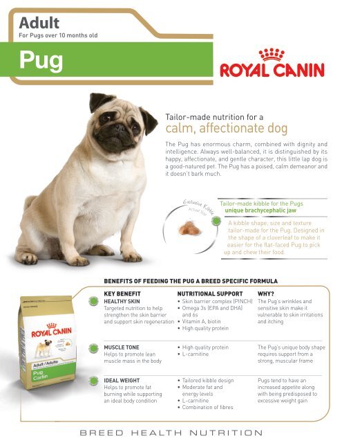 Pug 25tm Royal Canin Canada