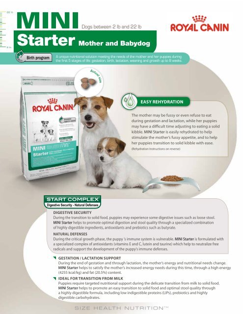 Starter Mother and Babydog - Royal Canin Canada