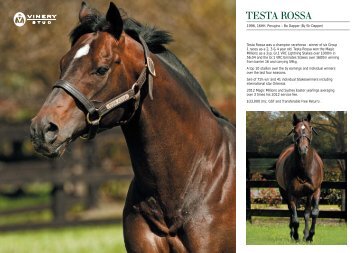 1996, 16HH. Perugino – Bo Dapper - Vinery Stud