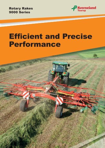 Efficient and Precise Performance