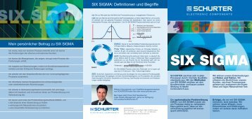 SIX SIGMA: Definitionen und Begriffe - Schurter