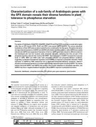 Characterization of a sub-family of Arabidopsis genes with the SPX ...