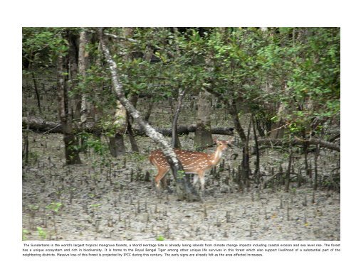 CLIMATE CHANGE AND BANGLADESH