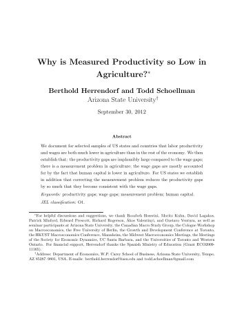 Why is Measured Productivity so Low in Agriculture?